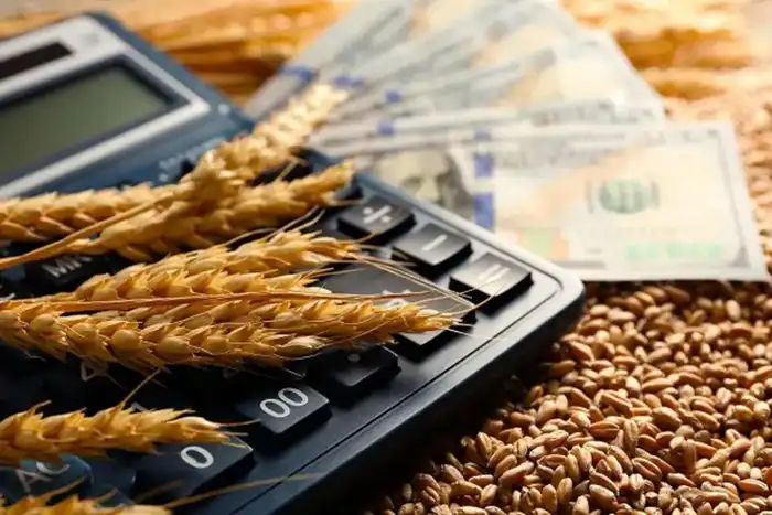 Kazakhstan's Competition Agency Uncovers Violations in Grain Export Subsidy Distribution Актобе