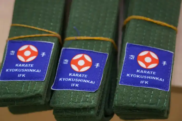 Церемония награждения юных каратистов в столичной школе: вдохновение и достижения на пути к мастерству Актобе