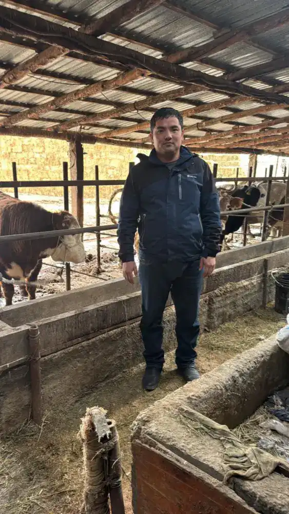 Мухамеддауит Косаев развивает скотоводство в Отырарском районе, обеспечивая продовольственную безопасность региона Актобе