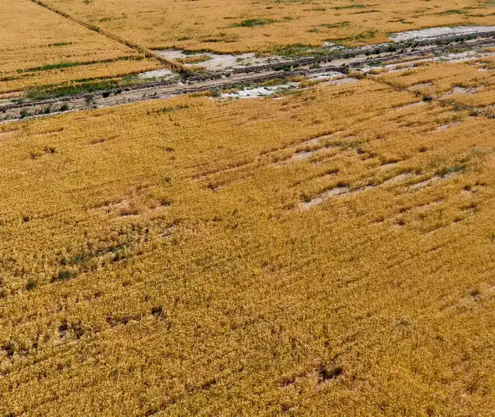 Туркестанская область: Революция в экономии воды Актобе