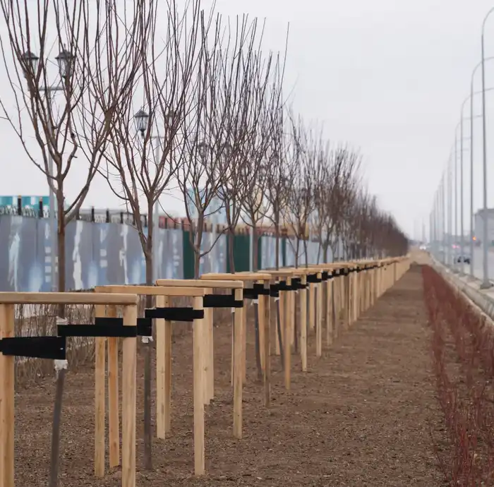 В ЭТОМ ГОДУ В ТУРКЕСТАНСКОМ ЖИЛОМ КОМПЛЕКСЕ «ЖІБЕК ЖОЛЫ» СДАДУТ В ЭКСПЛУАТАЦИЮ 432 КВАРТИРЫ (9)