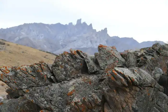 Туркестанская область стремится к международному признанию своего культурного наследия через включение в список ЮНЕСКО Актобе