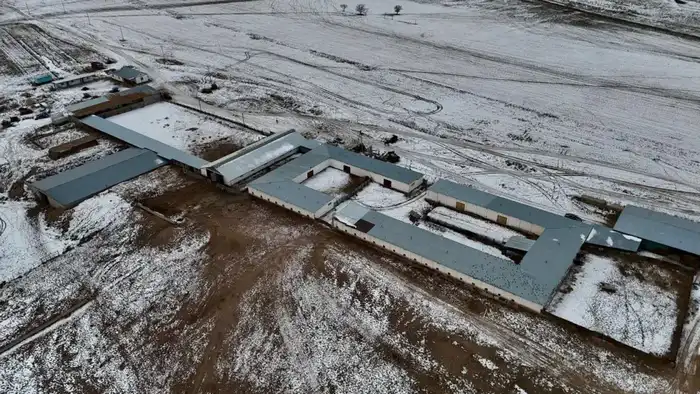 Создание молочно-товарной фермы в Алматинской области: новые рабочие места и развитие молочного производства Актобе