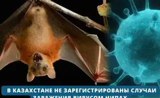Ситуация с вирусом Нипах в Казахстане и санитарный контроль на границе