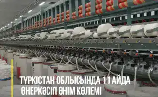 Рост объемов промышленного производства в Туркестанской области: 1,4 трлн тенге за 11 месяцев 2025 года