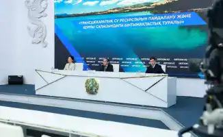 Водная дипломатия: Международное сотрудничество для сохранения экосистемы озера Балхаш