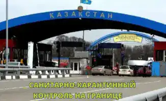 Кто на границе? 84 причины для санитарного контроля!