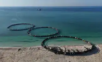 Рост производства рыбной продукции в Казахстане на 10% за 11 месяцев 2025 года