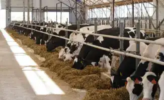 Запуск завода по производству кормов для домашних животных в Алматинской области создаст 200 рабочих мест и увеличит объемы местного производства