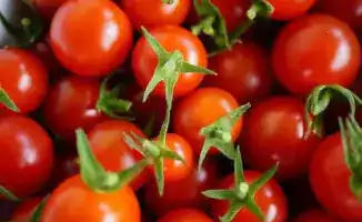 Факт ввоза зараженной подкарантинной продукции выявлен в аэропорту Астаны