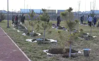 Обеспечение безопасности и комфорта пассажиров в Туркестанской области в зимний период