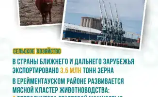 Рекордный урожай и льготные кредиты: Акмолинская область укрепляет аграрные позиции в стране