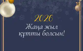 П祝新年: Поздравление Уполномоченного по правам человека Казахстана с наступающим годом