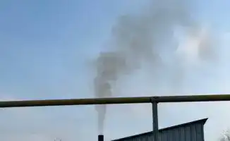 В Алатауском районе Алматы обсудили меры по снижению выбросов от малого бизнеса