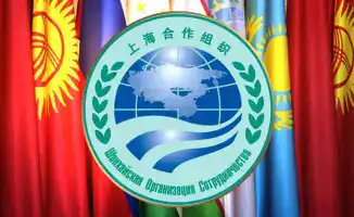 Виртуальная встреча представителей стран ШОС: Обсуждение фитосанитарной безопасности перед Совещанием 2026