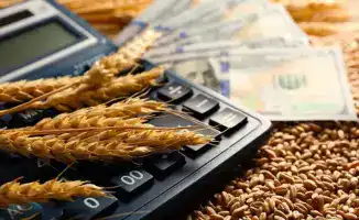 Kazakhstan's Competition Agency Uncovers Violations in Grain Export Subsidy Distribution