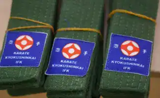 Церемония награждения юных каратистов в столичной школе: вдохновение и достижения на пути к мастерству
