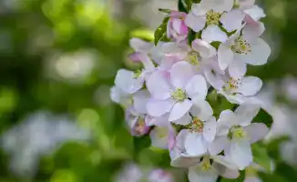 Cultural and Touristic Events in Kazakhstan: Three Festivals of Zhetysu Region Featured in National Calendar
