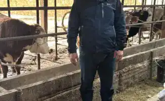 Мухамеддауит Косаев развивает скотоводство в Отырарском районе, обеспечивая продовольственную безопасность региона