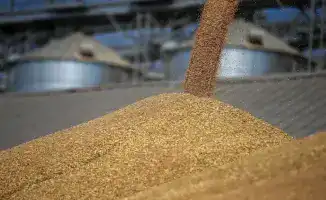 Зерновой урожай 2025: Продкорпорация на плаву с 25% ростом отгрузки