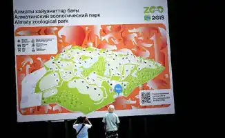 Алматы: зоопарк принимает использованные ёлки