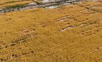 Туркестанская область: Революция в экономии воды