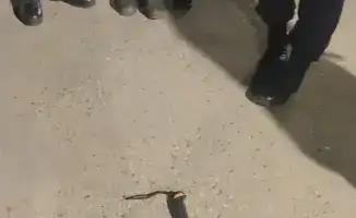 Гвардейцы задержали мужчину с мачете в Конаеве