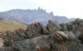 Туркестанская область стремится к международному признанию своего культурного наследия через включение в список ЮНЕСКО