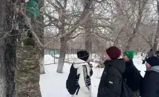Птицы в парке: забота о природе от школьников!
