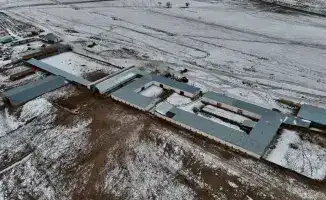 Создание молочно-товарной фермы в Алматинской области: новые рабочие места и развитие молочного производства