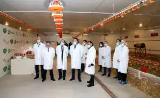 Макинская птицефабрика: где надежность встречает качество!