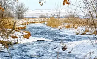 Тепло, как весенний поцелуй: Казахстан встретит +13°C в начале февраля