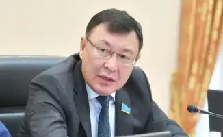 Сенатор Марат Кожаев о декларировании доходов госслужащих и бизнесе их семей