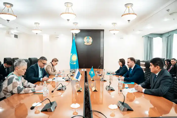 Подготовку к референдуму по новой Конституции обсудили с представителями БДИПЧ ОБСЕ (3)