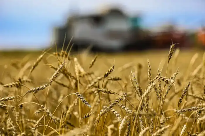 Казахстан: Новые горизонты переработки сельхозпродукции и вызовы в животноводстве Актобе