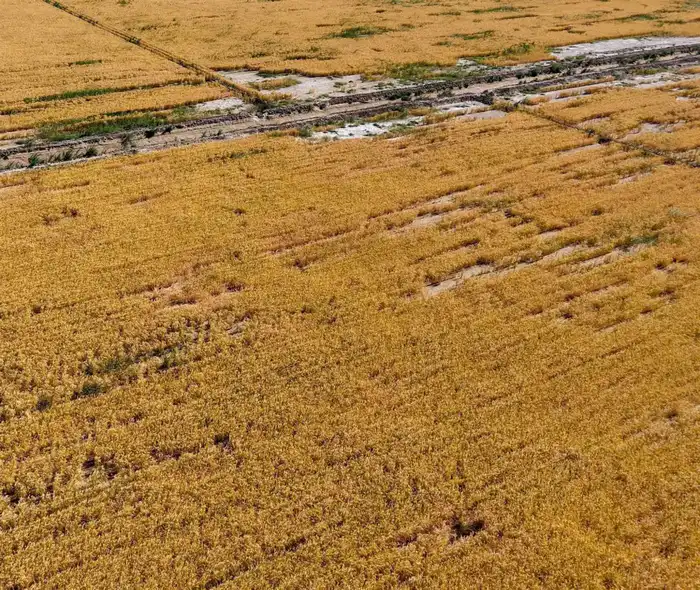 ТУРКЕСТАНСКАЯ ОБЛАСТЬ ЛИДИРУЕТ В РЕСПУБЛИКЕ ПО ВНЕДРЕНИЮ ВОДОСБЕРЕГАЮЩИХ ТЕХНОЛОГИЙ (2)