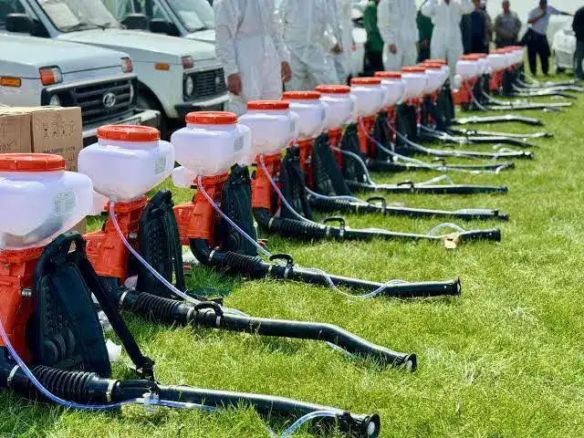 В Туркестанской области началась подготовка к борьбе с саранчой под руководством заместителя акима Актобе