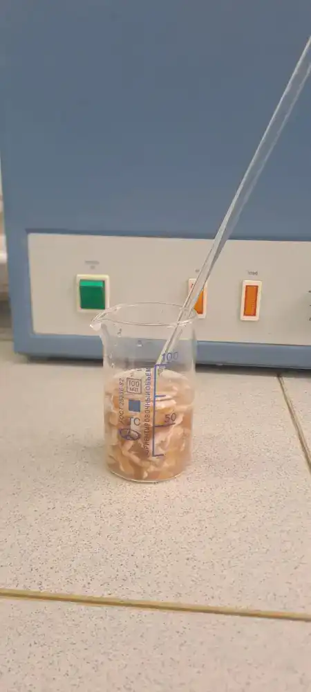 Innovative Technology for Preserving Cattle Hides Developed by Scientists in Kazakhstan Актобе