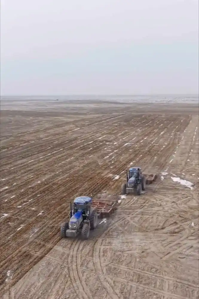 Проект по переработке кукурузы и сои стоимостью 51 млрд тенге реализуется в Кызылординской области (7)