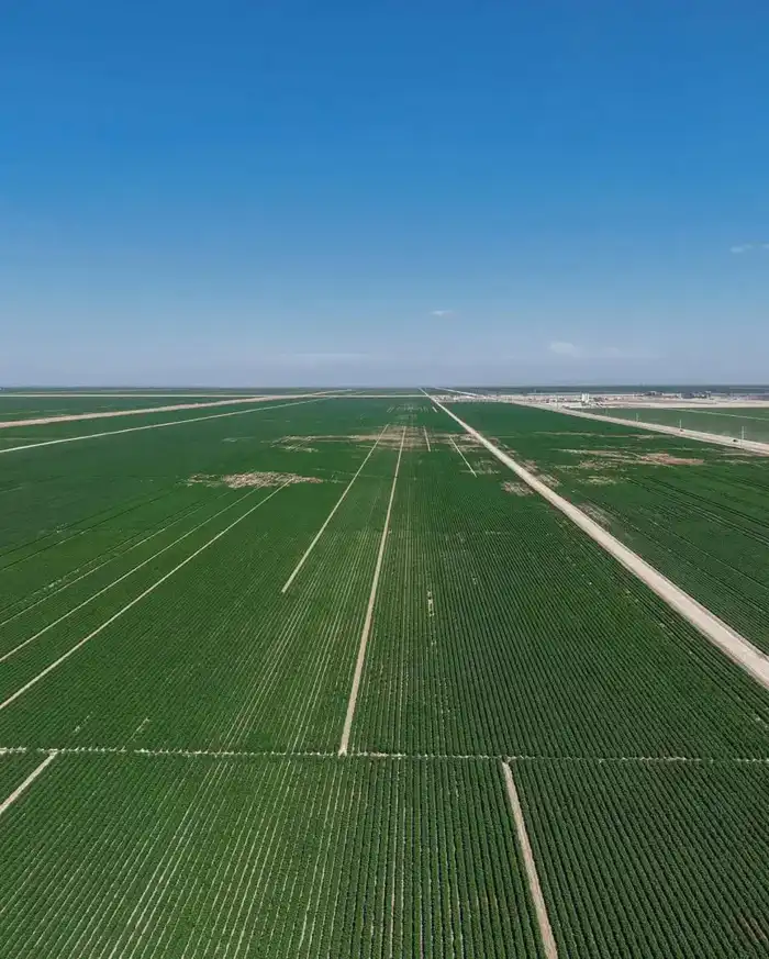 В ТУРКЕСТАНЕ НА КОНТРОЛЕ НАХОДЯТСЯ РАБОТЫ ПО ВНЕДРЕНИЮ ВОДОСБЕРЕГАЮЩИХ ТЕХНОЛОГИЙ НА ПОЛЯХ (2)