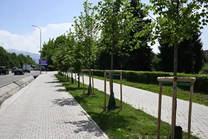 Алматы увеличит зеленые насаждения к 2030 году Актобе