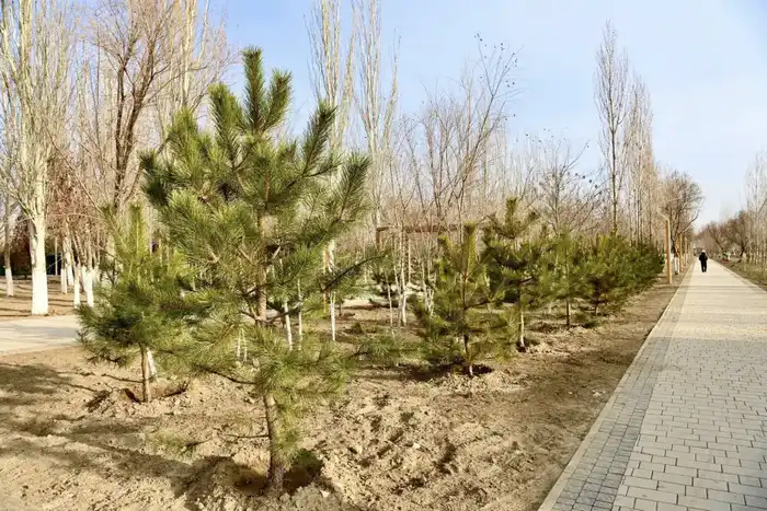 Новые культурные объекты изменят облик города и улучшат качество жизни горожан Актобе