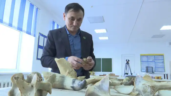 В Талдысае Актюбинской области педагог Бирлик Солтан уже 25 лет обучает детей традиционному искусству резьбы по кости, прививая им терпение и уважение к культурному наследию. Актобе