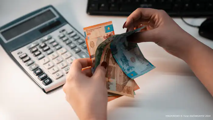 Списание пеней и штрафов: новые возможности для микро- и малого бизнеса в условиях налоговой задолженности Актобе