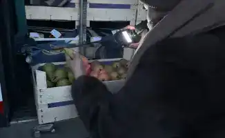 Возврат 19 тонн груш из Бельгии в Казахстан из-за недостатка фитосанитарного сертификата
