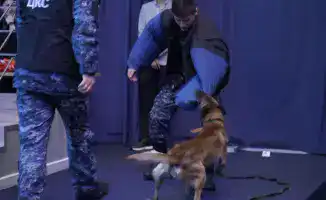 КВН против наркотиков: смех и здоровье в одном флаконе!