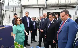 Посещение тепличного комбината в Барнауле: внедрение современных технологий в аграрный сектор