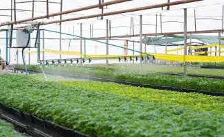 Туркестанская область: лидер водосбережения в стране