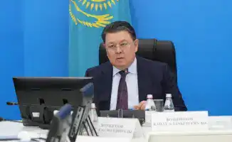 Сокращение посевов риса и внедрение водосберегающих технологий: последствия для сельского хозяйства Алматинской области