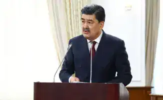 Обсуждение внедрения цифровых технологий для защиты природы и формирования экологической культуры в Правительстве